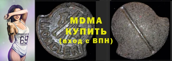 индика Костерёво