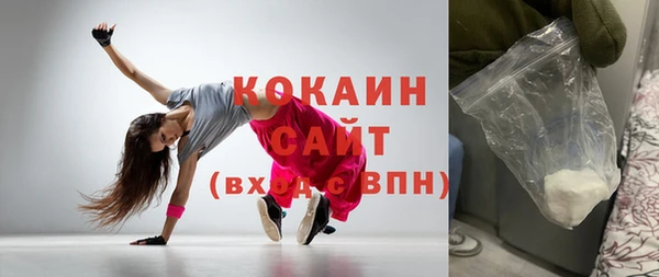 индика Костерёво