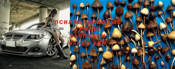 дживик Куйбышев