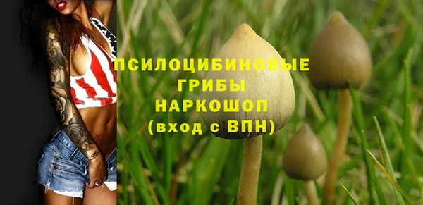 прущая мука Великий Новгород