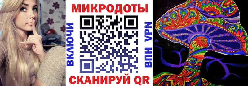 площадка какой сайт  Сурск  Псилоцибиновые грибы Psilocybine cubensis 